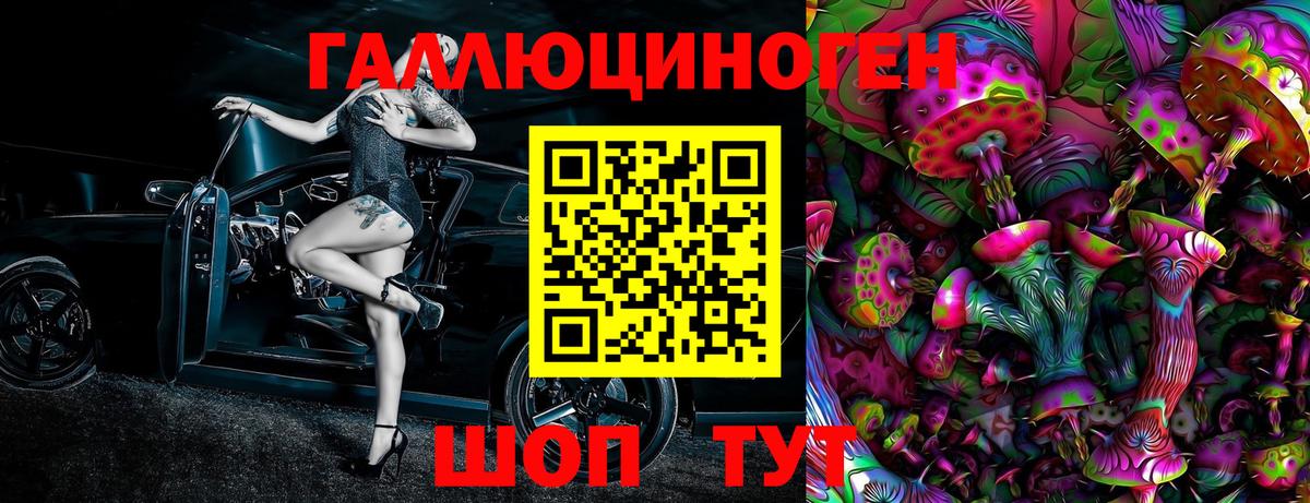 Псилоцибиновые грибы Psilocybe Донецк