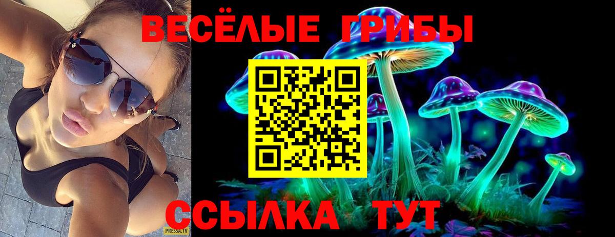 Донецк  Галлюциногенные грибы Psilocybine cubensis  Галлюциногенные грибы мухоморы  Вход с VPN 